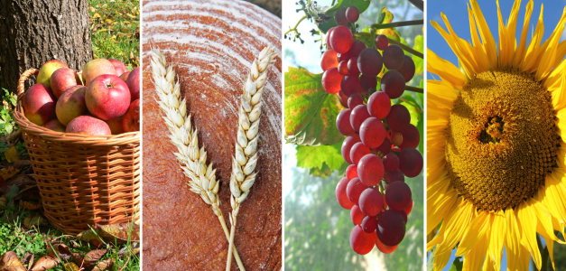 Bild-Nr: 12934172 Herbstquartett Erstellt von: SusaZoom