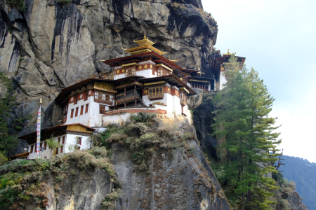 Bild-Nr: 12934297 Tiegernest  Erstellt von: Gerhard Albicker