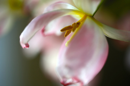 Bild-Nr: 12936568 im Licht Erstellt von: Ursula Reins