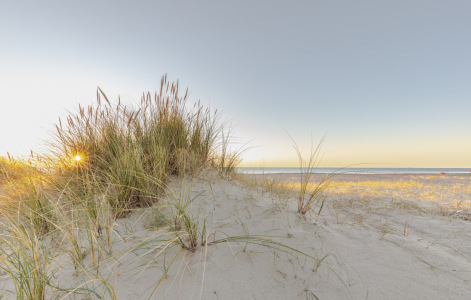 Bild-Nr: 12936889 Sonne im Strandhafer Erstellt von: Ursula Reins