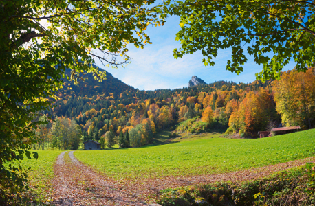 Bild-Nr: 12939361 Herbstlicher Wanderweg zum Leonhardstein Erstellt von: SusaZoom