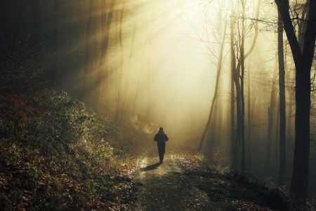 Bild-Nr: 12940165 Spaziergang durch einen zauberhaften Wald im Nebel Erstellt von: Smileus