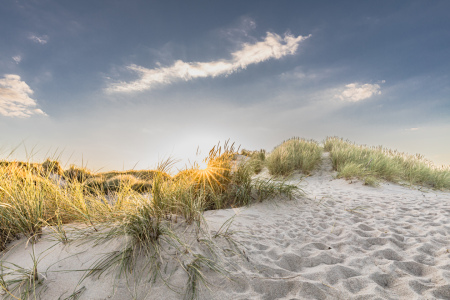 Bild-Nr: 12940898 Überflieger am Nordseestrand Erstellt von: Ursula Reins