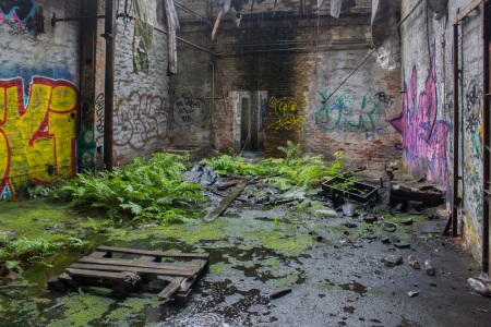 Bild-Nr: 12941050 The pink panther Erstellt von: yammay