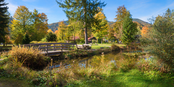 Bild-Nr: 12941148 Kurpark Kreuth Herbstlandschaft Oberbayern Erstellt von: SusaZoom