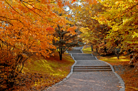 Bild-Nr: 10013371 Im Park Erstellt von: Atteloi