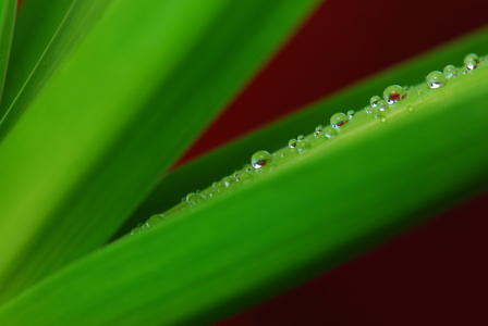 Bild-Nr: 10026219 Wassertropfen Erstellt von: Atteloi