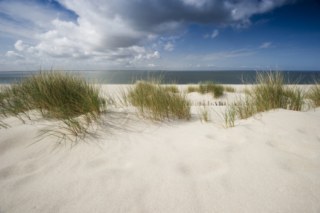 Bild-Nr: 10177409 Sylt #64 Erstellt von: danielschoenen