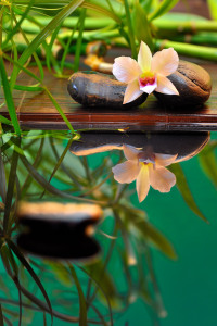 Bild-Nr: 10385487 Orchidee Spiegelung Erstellt von: FineArtImages