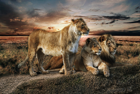 Bild-Nr: 10424683 ménage à trois Erstellt von: Vereinigung-Emotional-Expressionisten