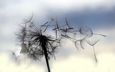 Bild-Nr: 10548227 Abschied Erstellt von: Renate Knapp