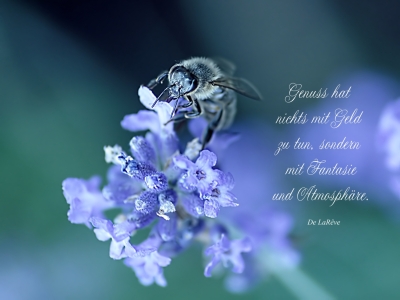 Bild-Nr: 10615494 Genuss Erstellt von: youhaveadream