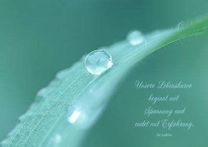 Bild-Nr: 10639730 Vita Erstellt von: youhaveadream