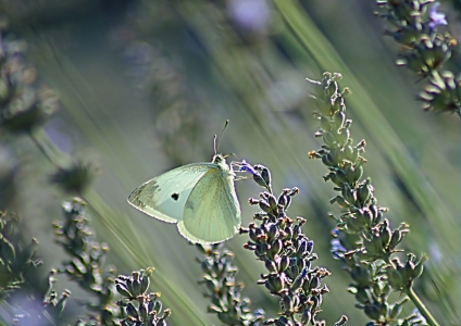 Bild-Nr: 10649592 Seasons in the Sun Erstellt von: youhaveadream