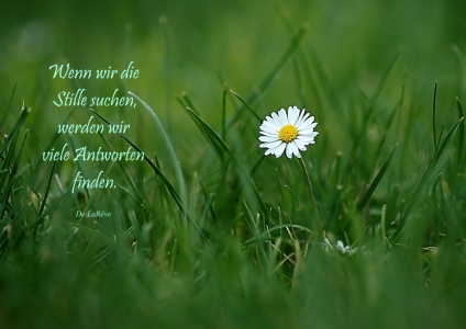 Bild-Nr: 10650136 Suchen und finden Erstellt von: youhaveadream