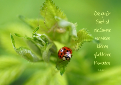 Bild-Nr: 10661650 le bonheur Erstellt von: youhaveadream