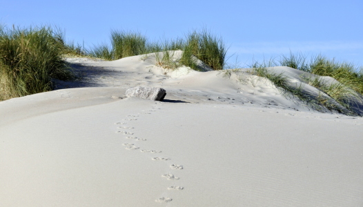 Bild-Nr: 10682220 Der Weg ist das Ziel Erstellt von: GUGIGEI