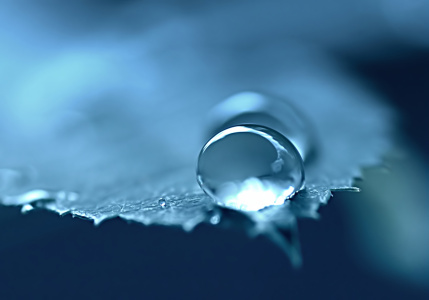 Bild-Nr: 10691309 Together Erstellt von: youhaveadream