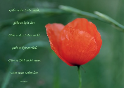 Bild-Nr: 10785609 Thinking of You Erstellt von: youhaveadream