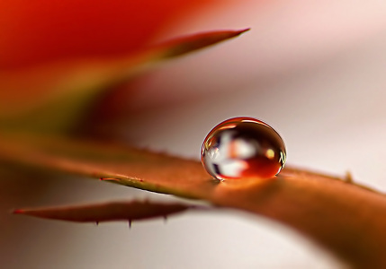 Bild-Nr: 10790947 Rolling Erstellt von: youhaveadream