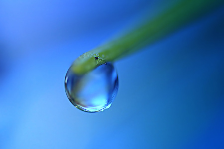 Bild-Nr: 10794411 Minitropfen Erstellt von: youhaveadream