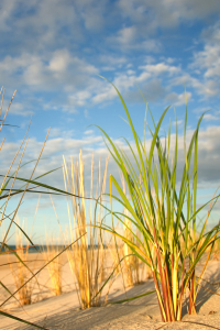Bild-Nr: 10871202 Ostseestrand Erstellt von: Steffen Gierok