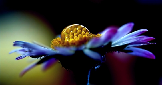 Bild-Nr: 10897884 What a wonderful world Erstellt von: youhaveadream