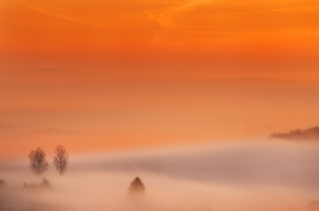 Bild-Nr: 11092905 Weil einfach einfach einfach ist Erstellt von: BjoernGoldhausen