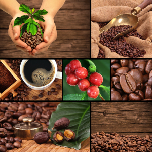 Bild-Nr: 11167360 Kaffee-Collage Erstellt von: Terra-one