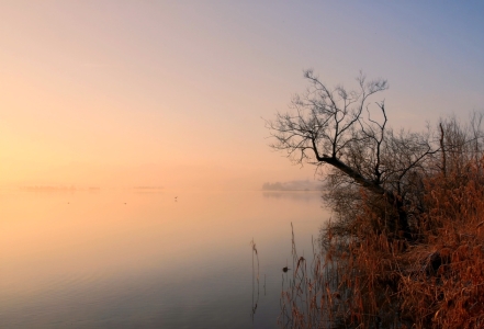 Bild-Nr: 11176182 Es werde Licht Erstellt von: brunosch