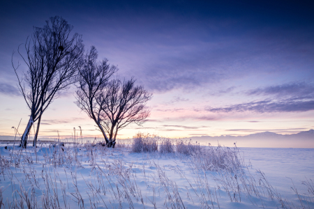 Bild-Nr: 11422138 Wintertraum Erstellt von: Blendenfabrik
