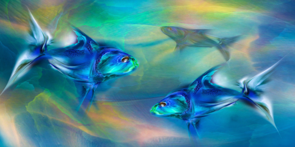 Bild-Nr: 11509553 Auf der Suche  Erstellt von: Tex