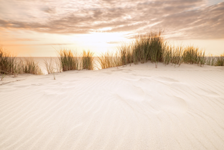 Bild-Nr: 11519243 Dünenlicht Sylt  Erstellt von: Nordbilder