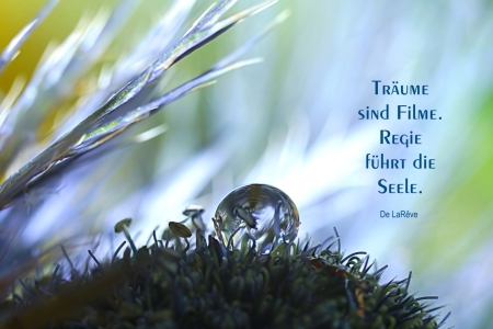 Bild-Nr: 11533530 I had a dream Erstellt von: youhaveadream