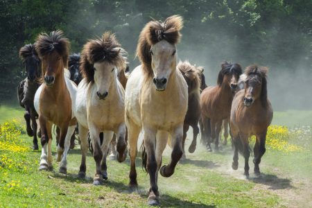 Bild-Nr: 11534406 Isi-Power Erstellt von: agilekna