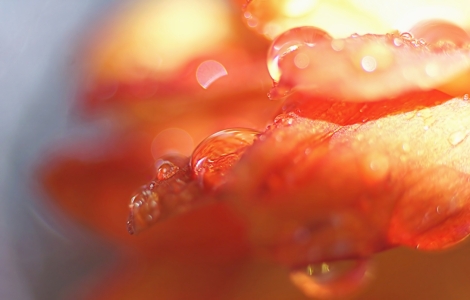 Bild-Nr: 11579884 Rain area Erstellt von: youhaveadream