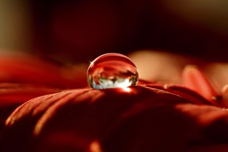 Bild-Nr: 11638916 Time for Red Erstellt von: youhaveadream