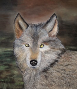 Bild-Nr: 11664410 Wolf Erstellt von: MoNoir