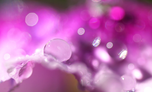 Bild-Nr: 11812186 September Rain Erstellt von: youhaveadream