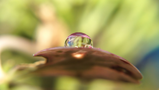 Bild-Nr: 11826883 Kugelig Erstellt von: MoNoir