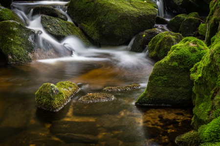 Bild-Nr: 11866323 Bayerischer Wald Erstellt von: luxpediation