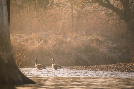 Bild-Nr: 11881961 Gang in den Morgen Erstellt von: luxpediation