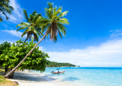 Bild-Nr: 11886133 Traumstrand am Meer Erstellt von: eyetronic