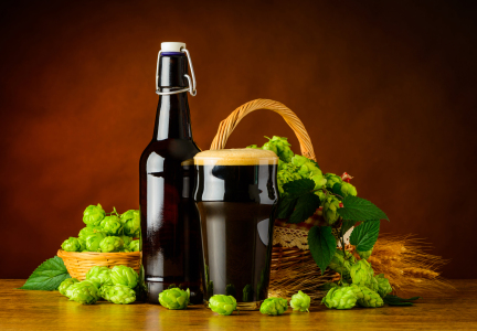 Bild-Nr: 11909672 Maß Dunkelbier mit Hopfen Erstellt von: xfotostudio