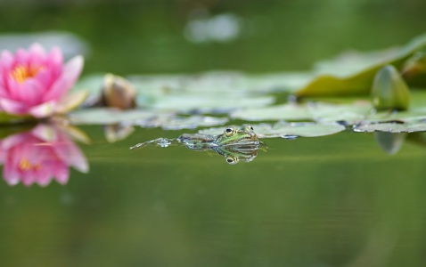 Bild-Nr: 11913978 Wellness - Bad Erstellt von: MoNoir