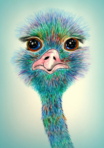 Bild-Nr: 11917098 Vogel Strauß Erstellt von: siegfried2838