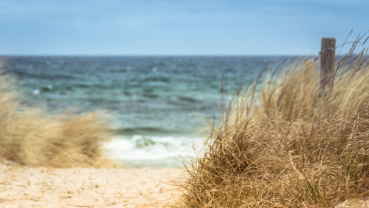 Bild-Nr: 11917411 Düne Erstellt von: luxpediation