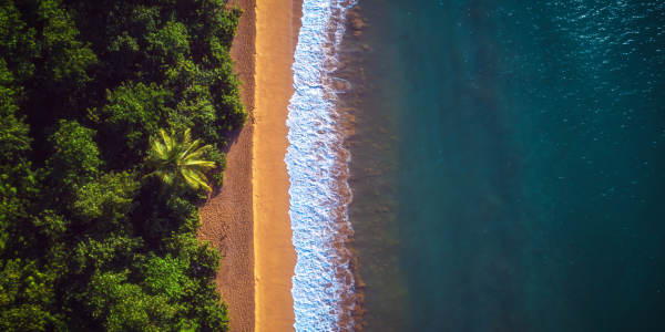 Bild-Nr: 12031682 Guadeloupe Plage Grande Anse Karibikstrand Erstellt von: Jean Claude Castor