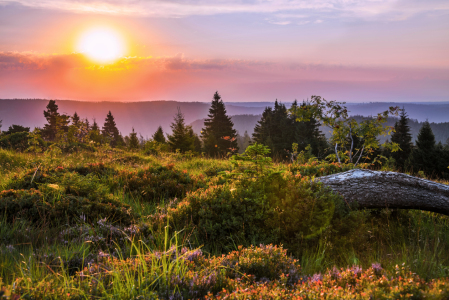 Bild-Nr: 12045146 Panorama bei Sonnenaufgang im Schwarzwald Erstellt von: KundenNr-160338