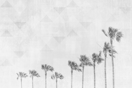 Bild-Nr: 12084173 California Vibes - Monochrom Erstellt von: Melanie Viola